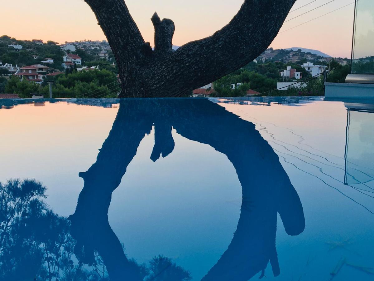 Villa Tranquility Lagoníszi Kültér fotó